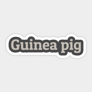 Guinea Pig Sticker